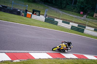 Middle Group Yellow Bikes
